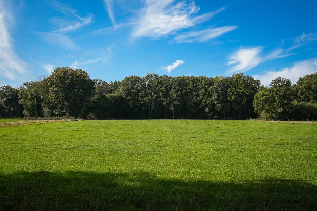 Foto 46 van Le Chevalierlaan 3-A