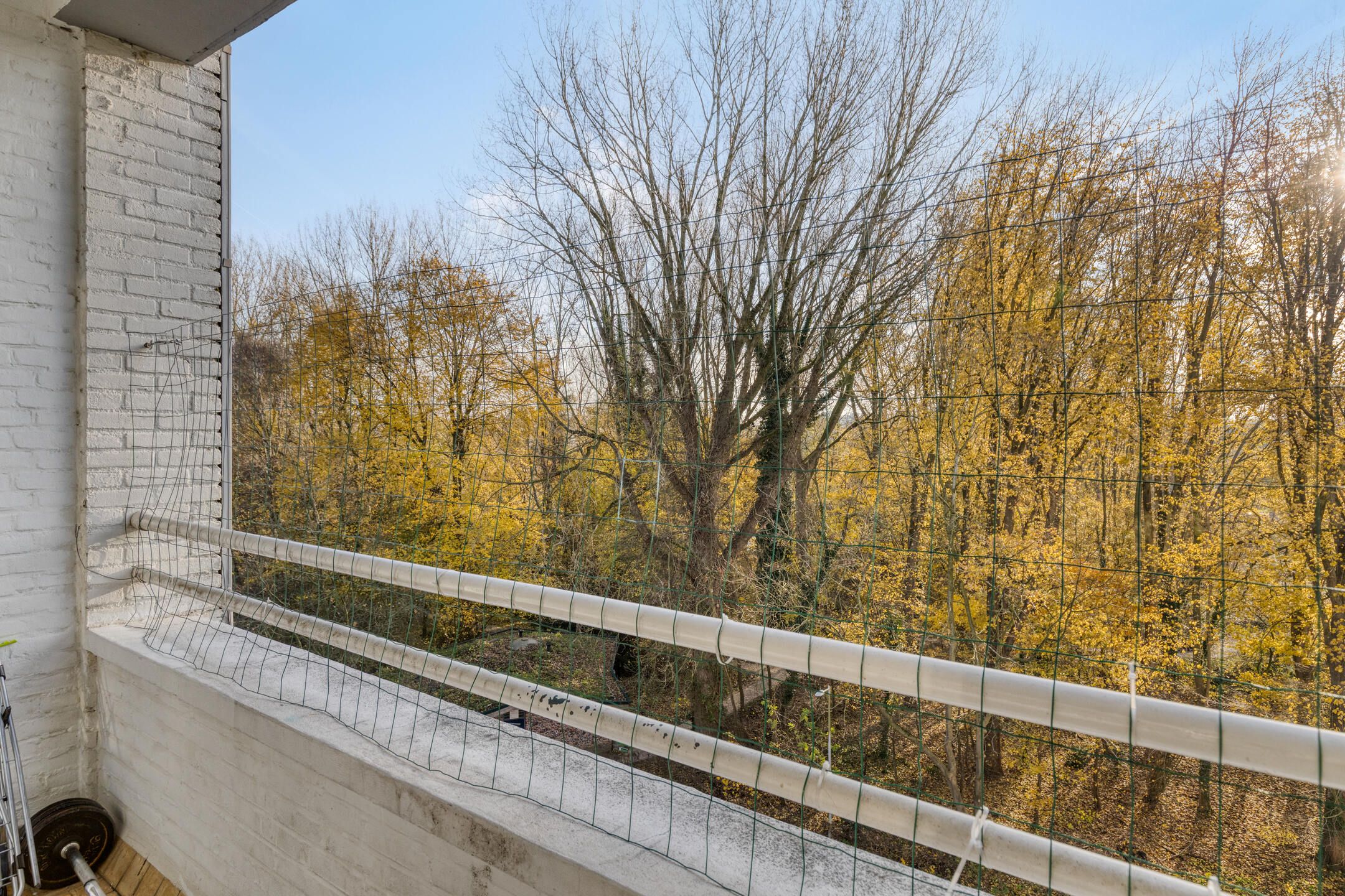 Photo 36 of Eastonstraat 41