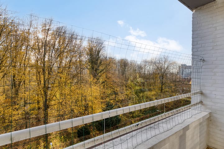 Foto 38 van Eastonstraat 41