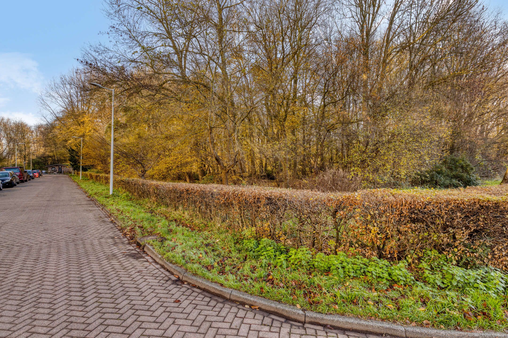 Photo 42 of Eastonstraat 41