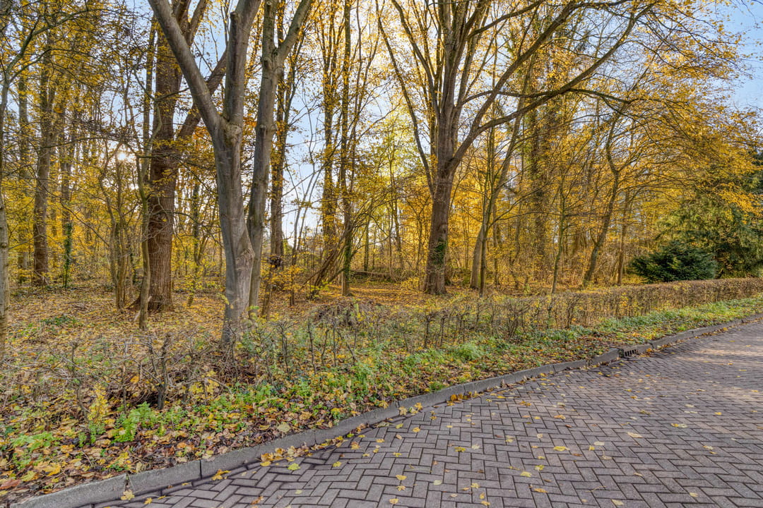 Photo 43 of Eastonstraat 41