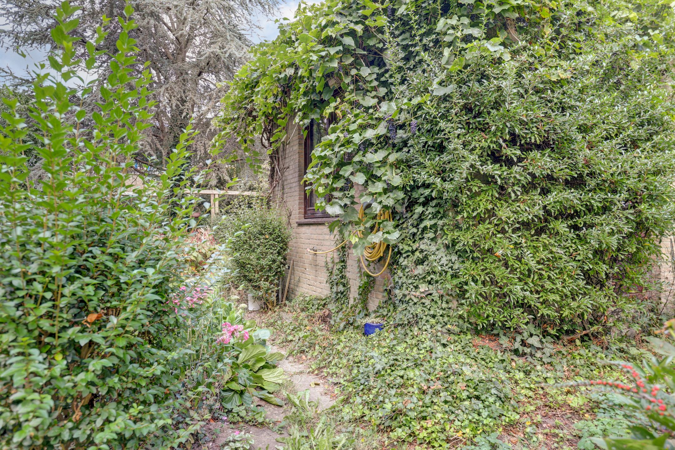 Foto 33 van Krekelveen 548