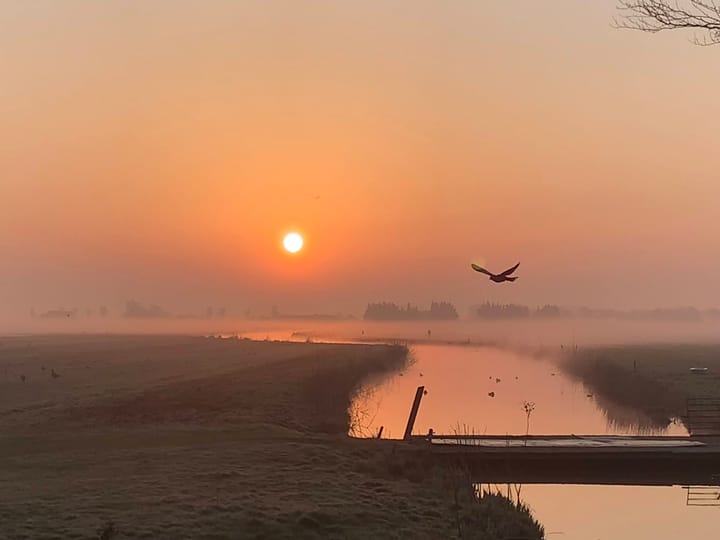 Foto 45 van Middelie 108