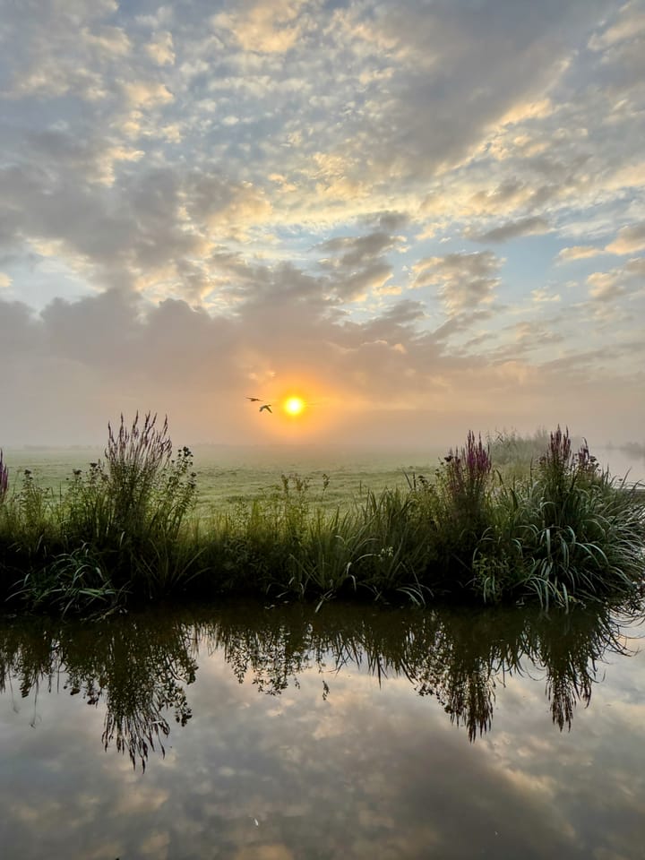 Foto 48 van Middelie 108