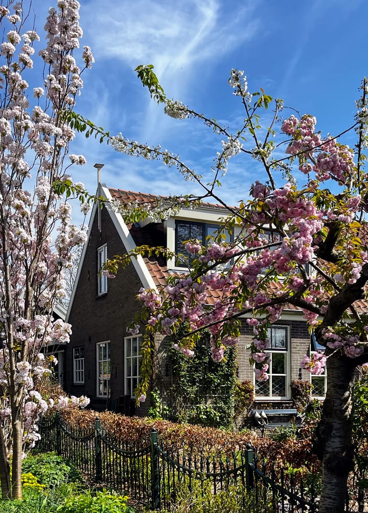 Foto 54 van Middelie 108