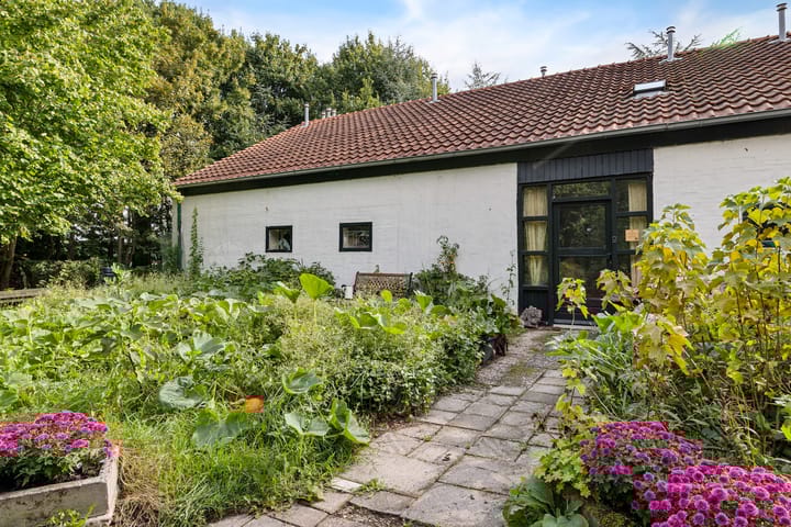 Foto 6 van Hanetangerweg 6