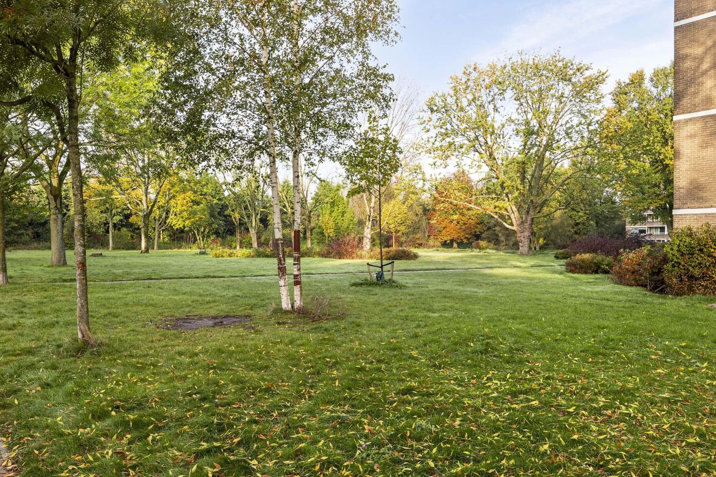 Photo 4 of Edmond Hellenraadstraat 42