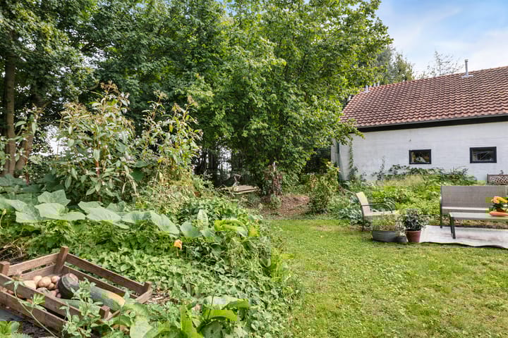 Foto 30 van Hanetangerweg 6