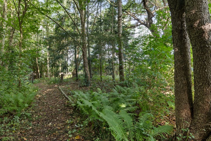 Foto 34 van Hanetangerweg 6