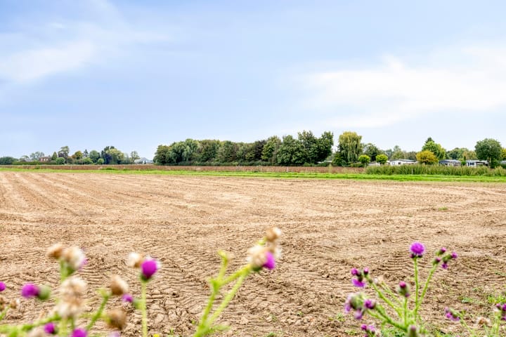 Foto 29 van Laageinde 30-A