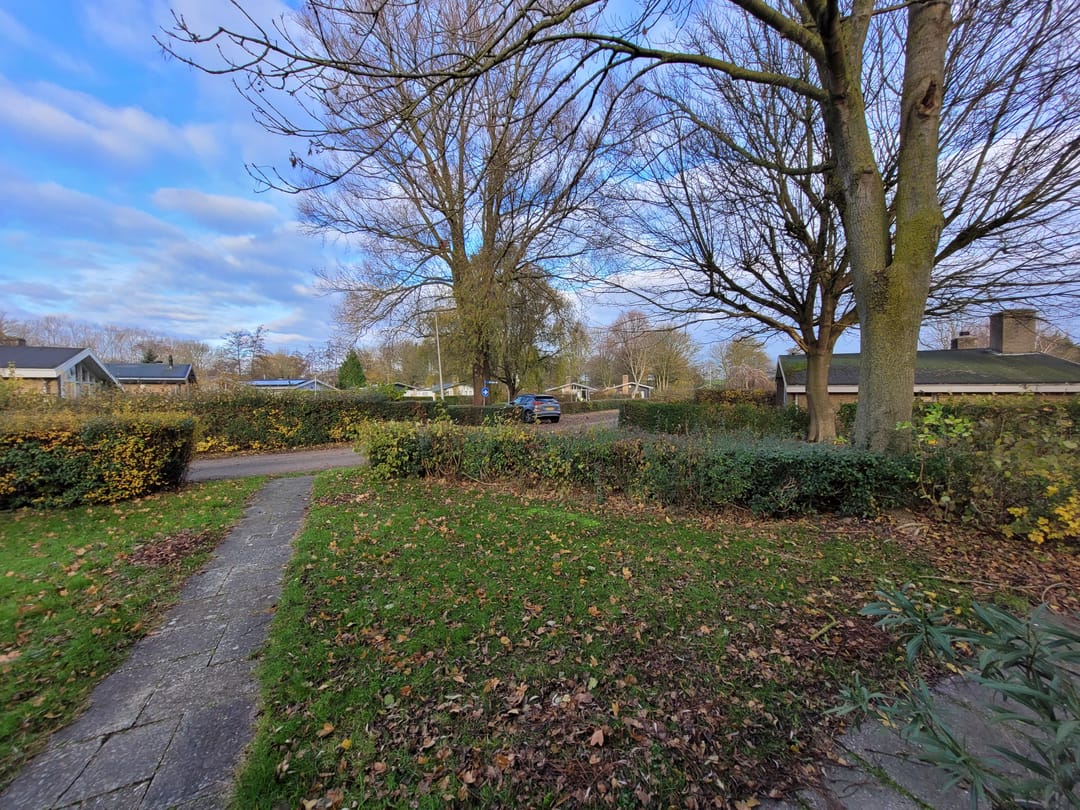 Foto 16 van Proefpolder 4-51