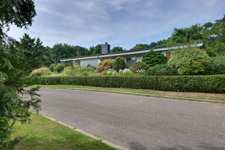 Foto 39 van den Bruijl 33