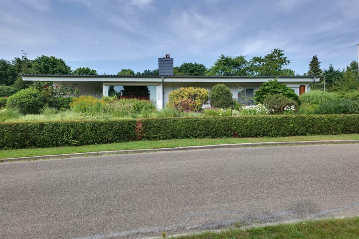 Foto 38 van den Bruijl 33