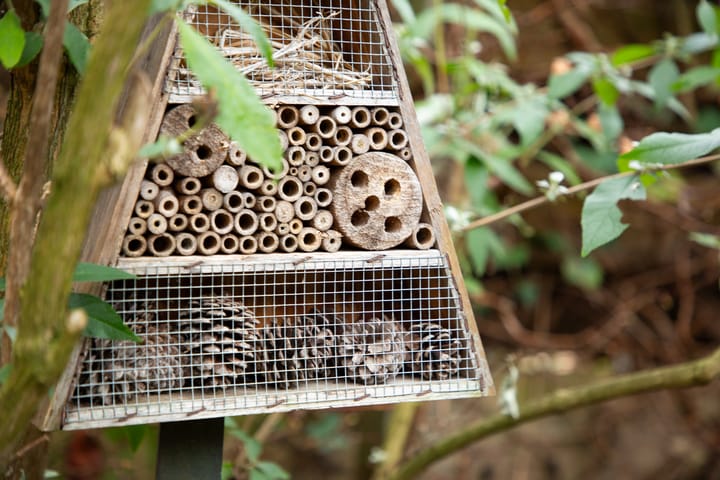 Foto 40 van Schaepmanstraat 26