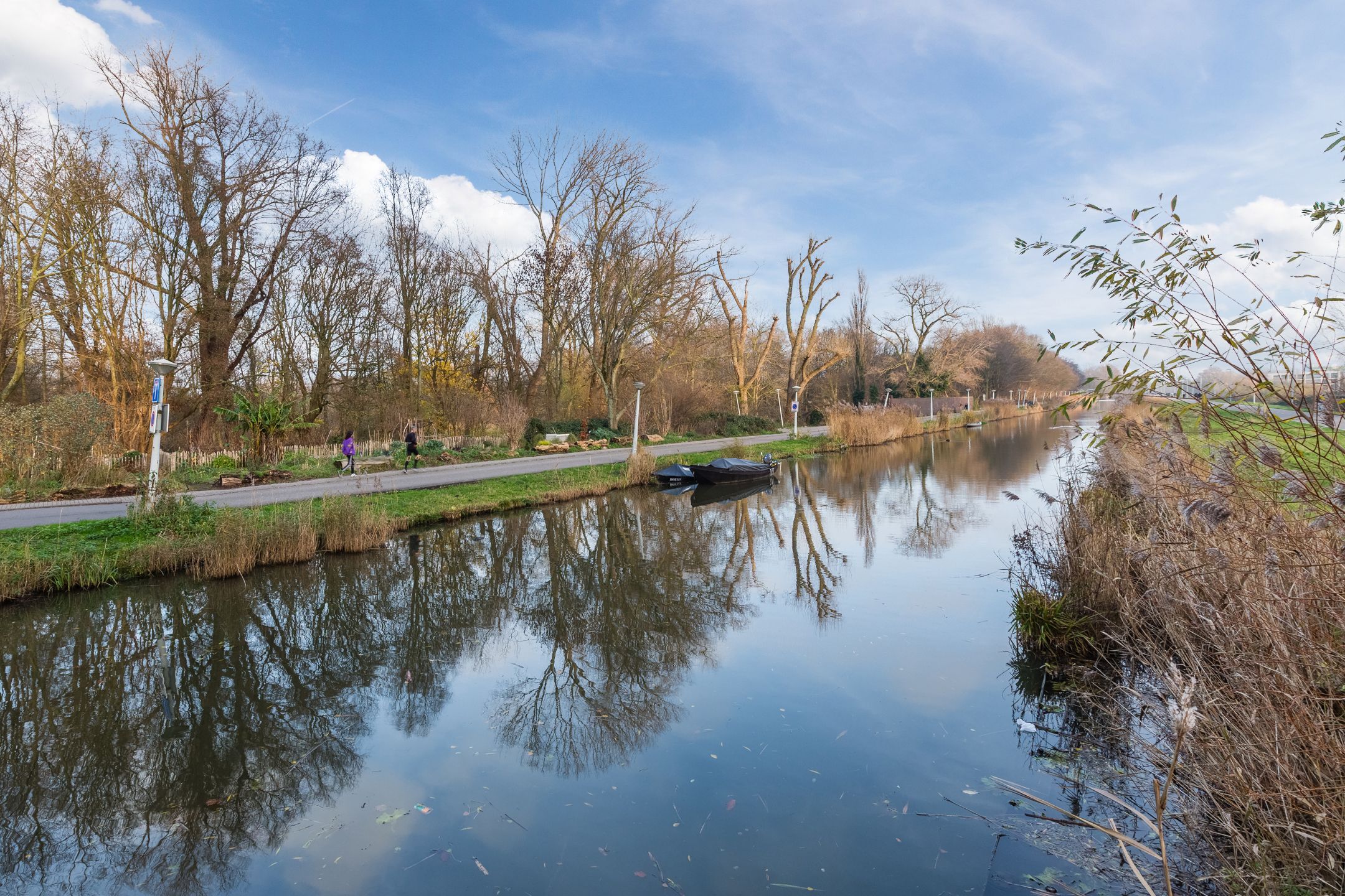 Photo 36 of Molukkenstraat 519