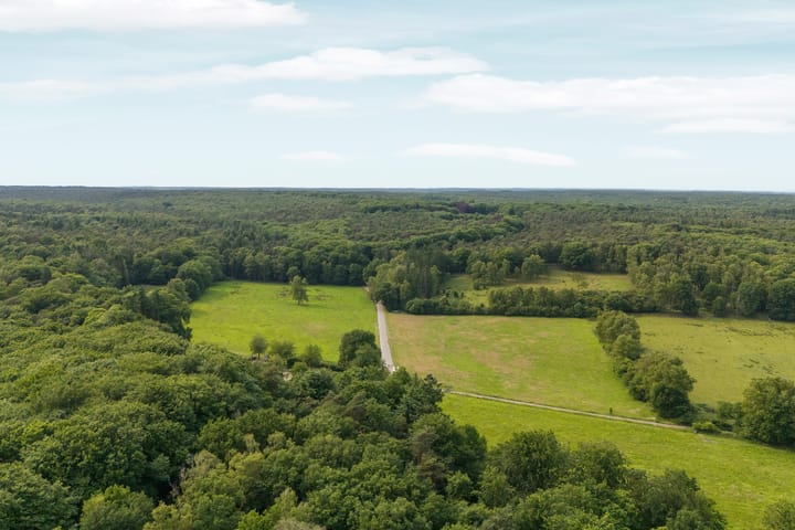 Foto 70 van Bernhaldelaan 12