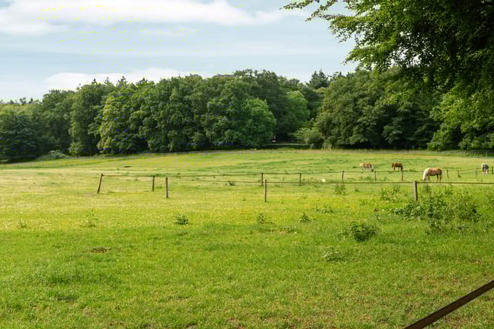 Foto 72 van Bernhaldelaan 12