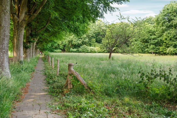 Foto 73 van Bernhaldelaan 12