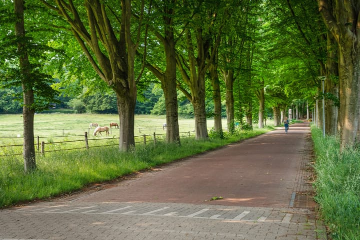 Foto 74 van Bernhaldelaan 12