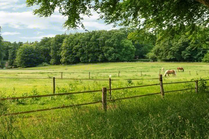 Foto 75 van Bernhaldelaan 12