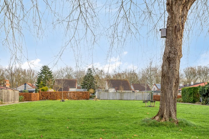 Foto 28 van Hondsrug 67