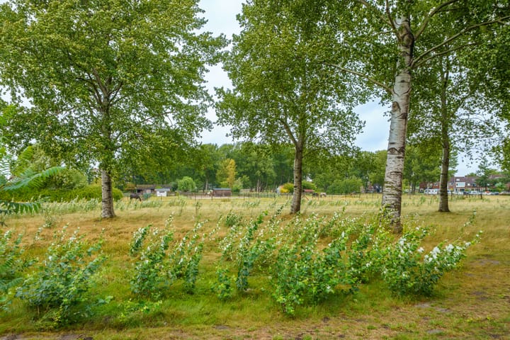 Photo 34 of Terpmeent 5