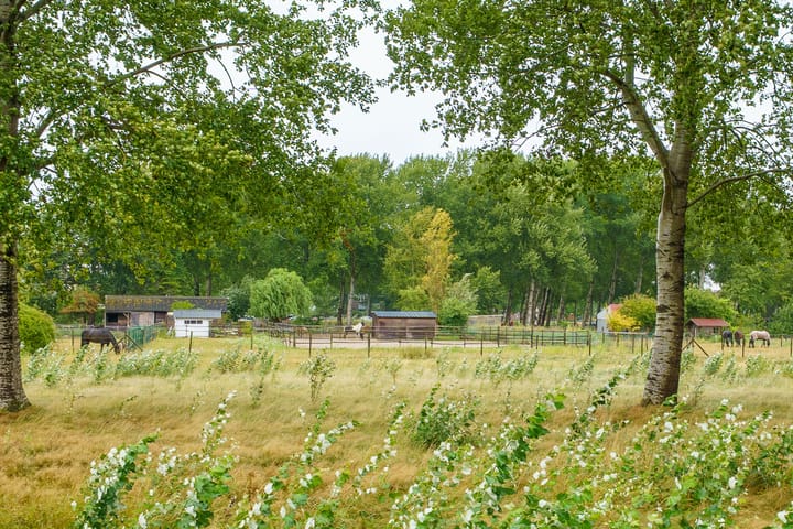 Photo 35 of Terpmeent 5