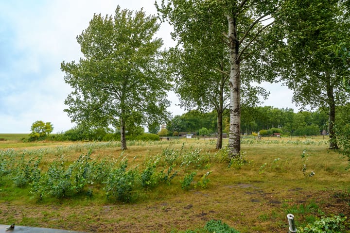 Photo 36 of Terpmeent 5