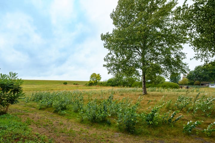 Photo 37 of Terpmeent 5