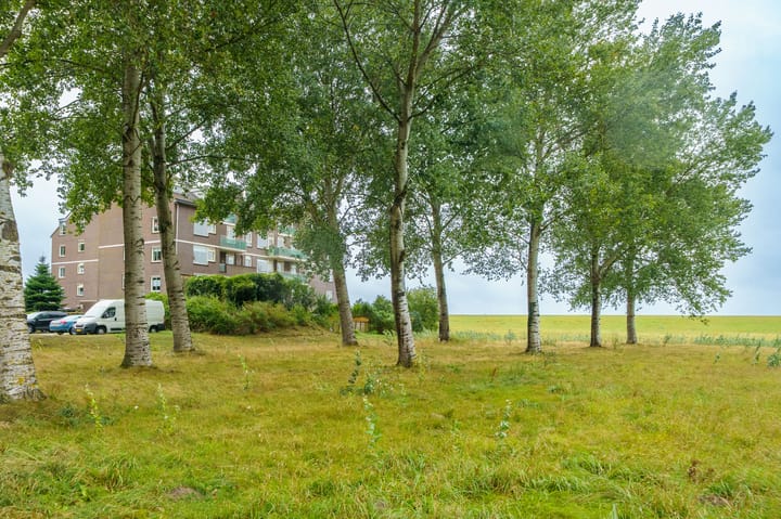 Photo 38 of Terpmeent 5