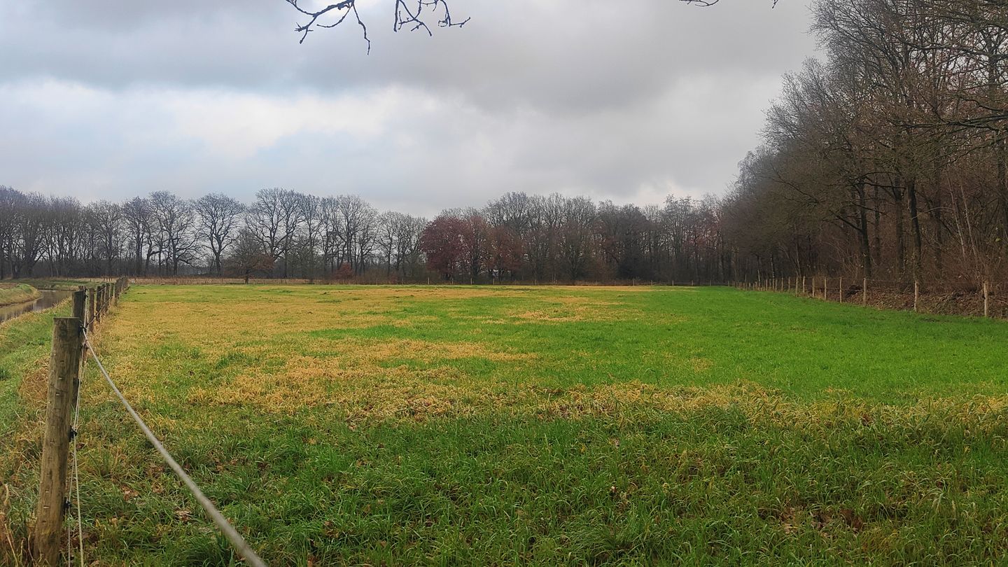 Bekijk foto 4 van Schreursmaat