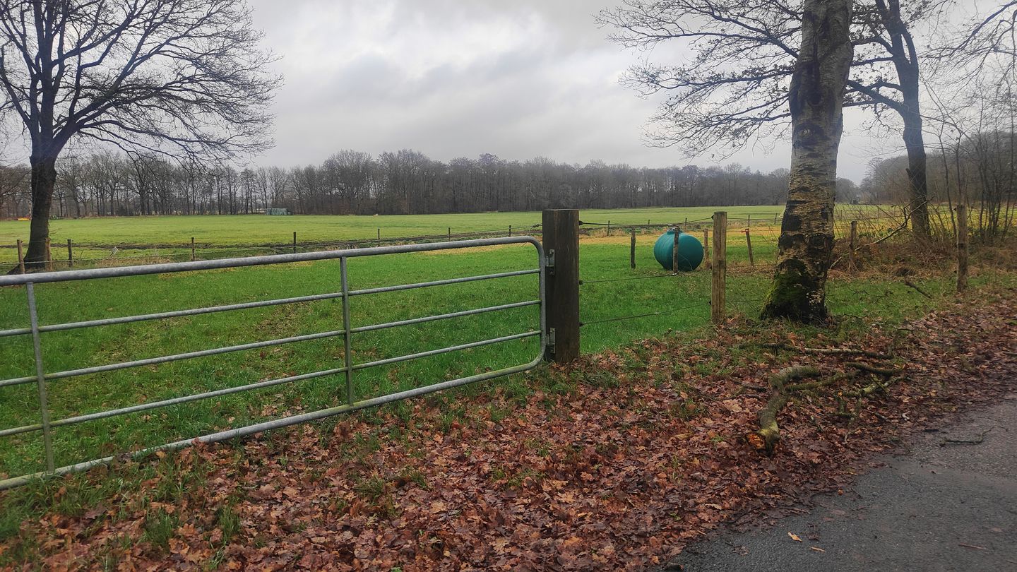 Bekijk foto 3 van Schreursmaat