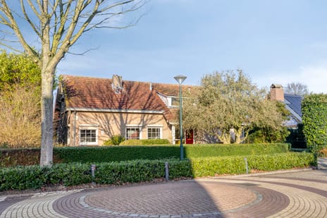 Reitselaan thumbnail