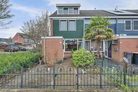 undefined main image