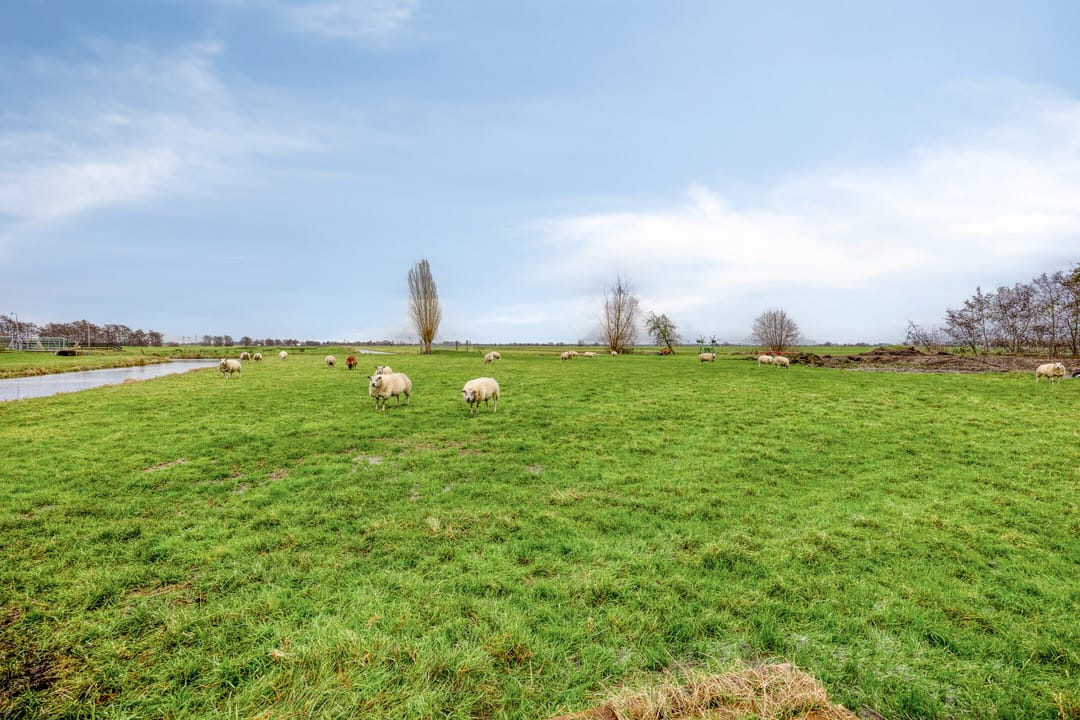 Foto 43 van IJsseldijk-Noord 412