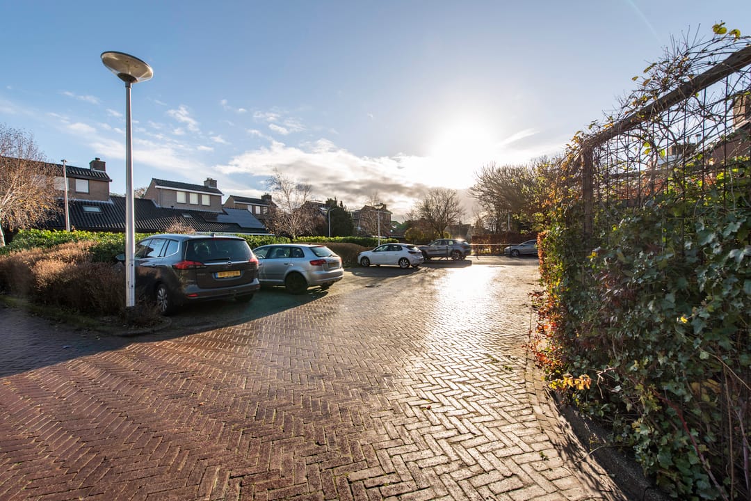 Photo 31 of Witte de Withlaan 21