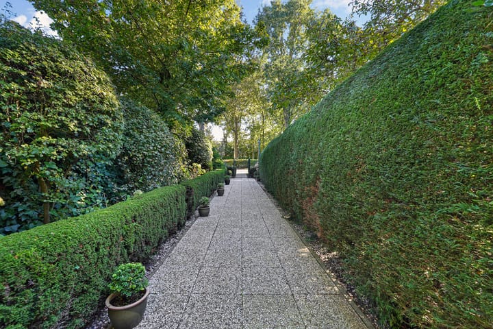 Photo 50 of Duinweg 50