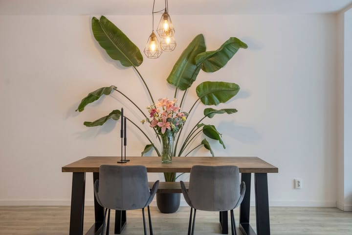 Foto 19 van Serenade 3