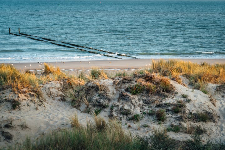 Photo 52 of Duinweg 50