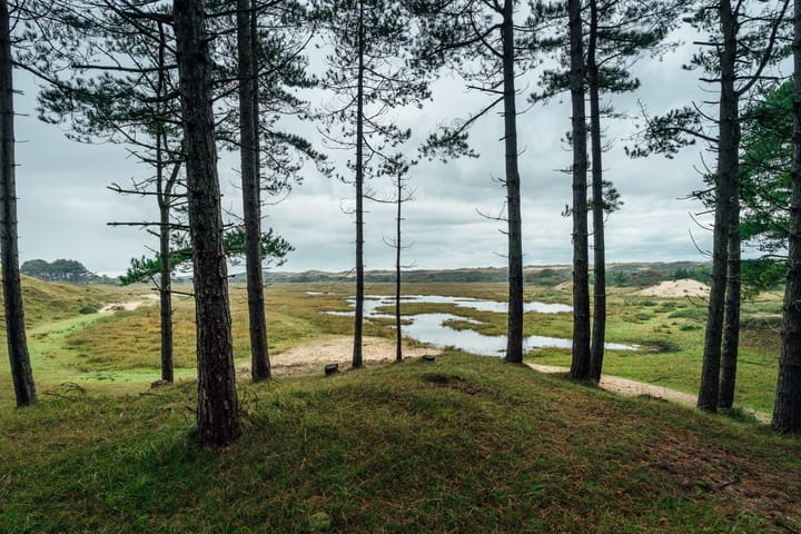 Photo 53 of Duinweg 50