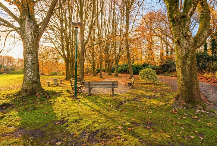 Photo 4 of Beukenhorst 91