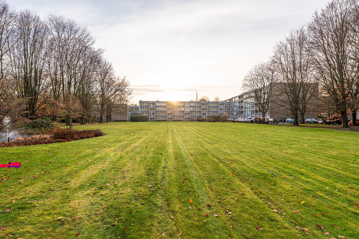 Foto 23 van Beukenhorst 91