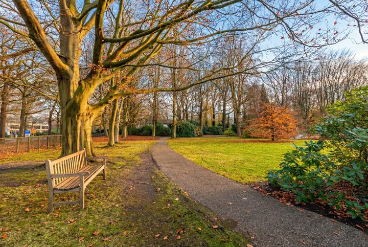 Foto 26 van Beukenhorst 91