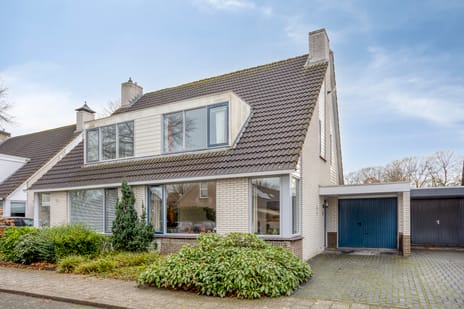 Korenbloem thumbnail