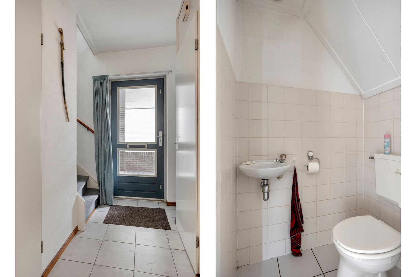 Photo 10 of Korenbloem 26