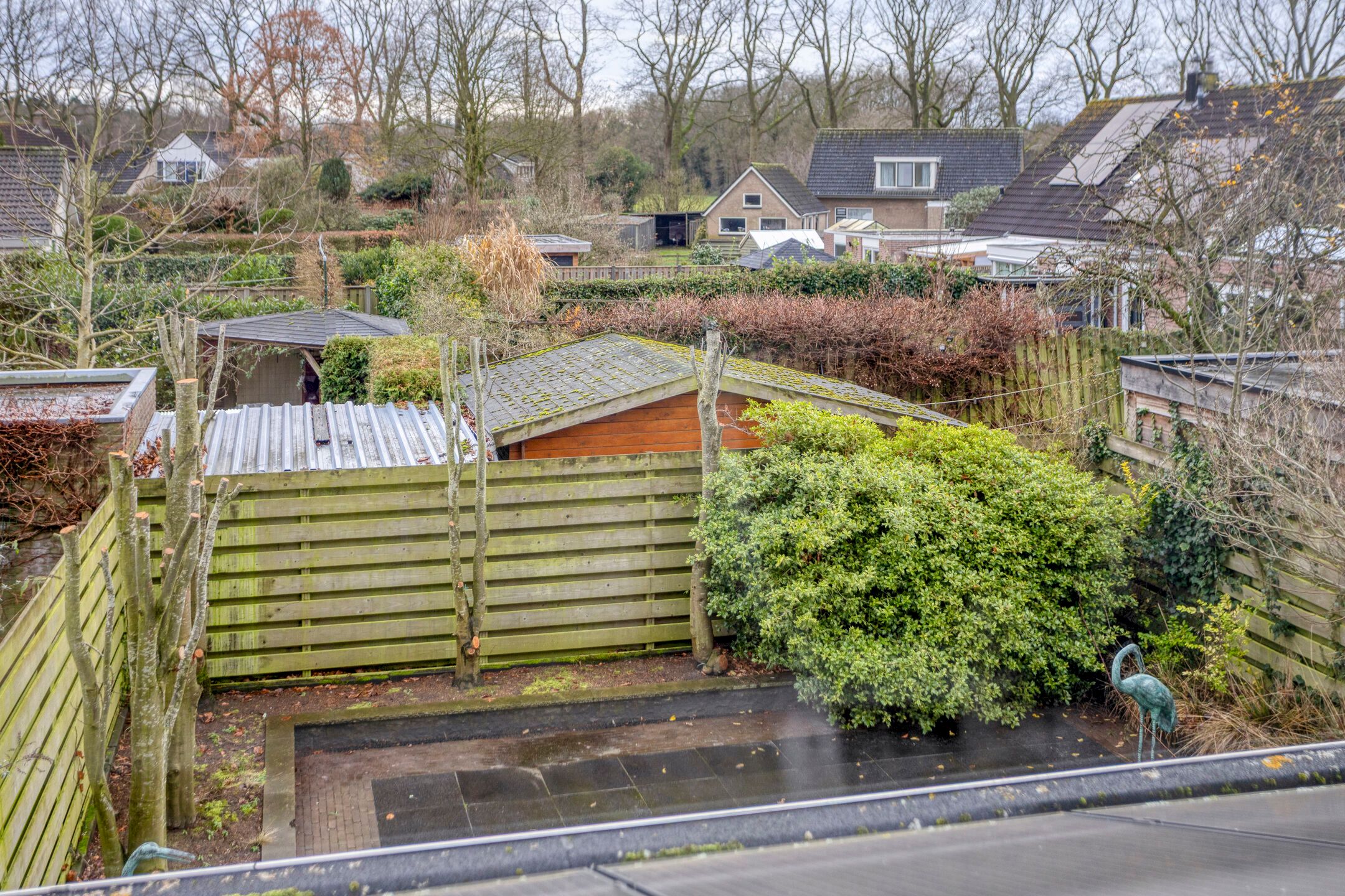 Photo 18 of Korenbloem 26