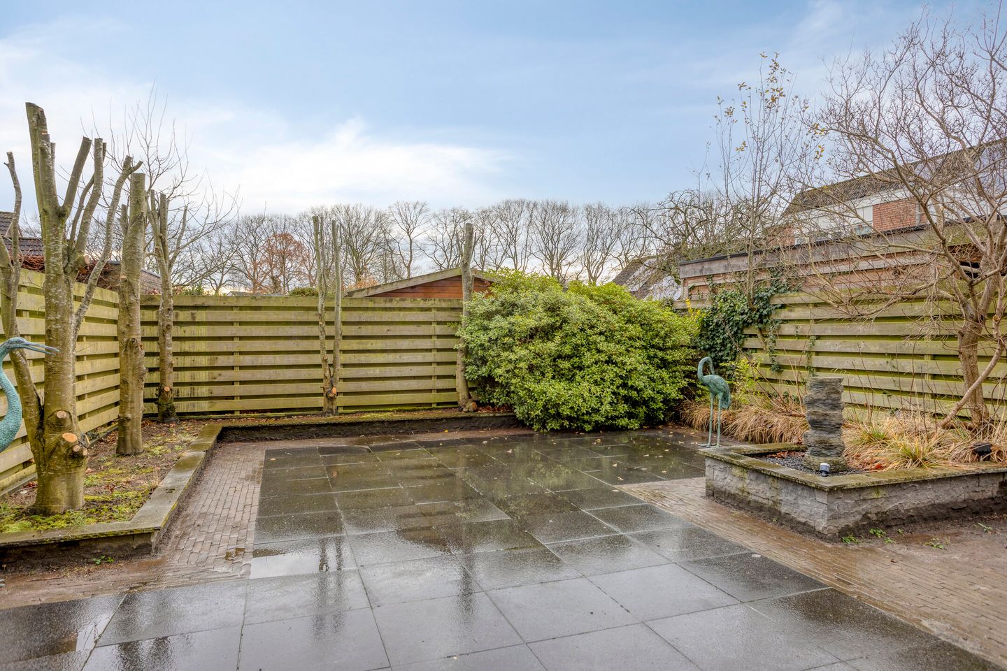 Photo 20 of Korenbloem 26