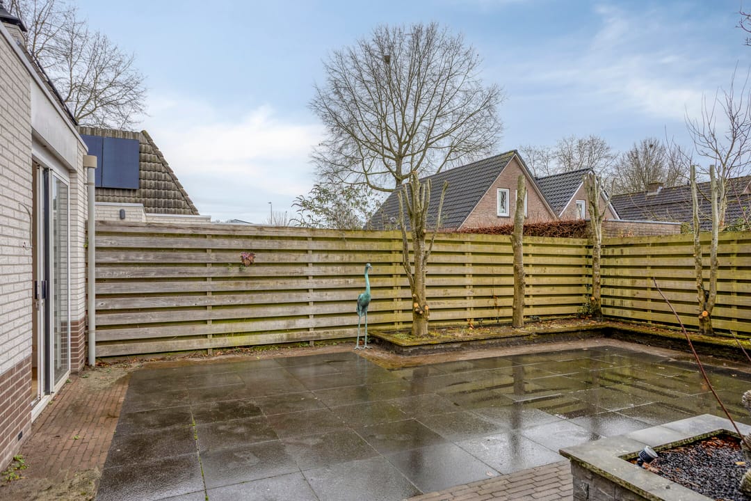 Photo 22 of Korenbloem 26