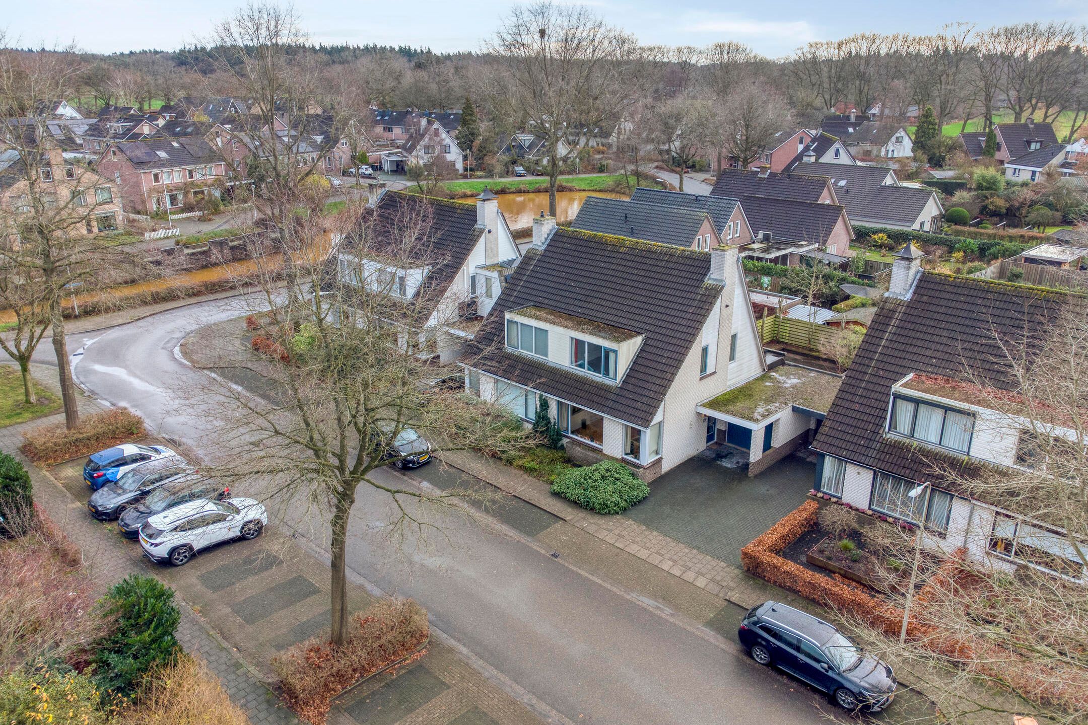 Photo 24 of Korenbloem 26