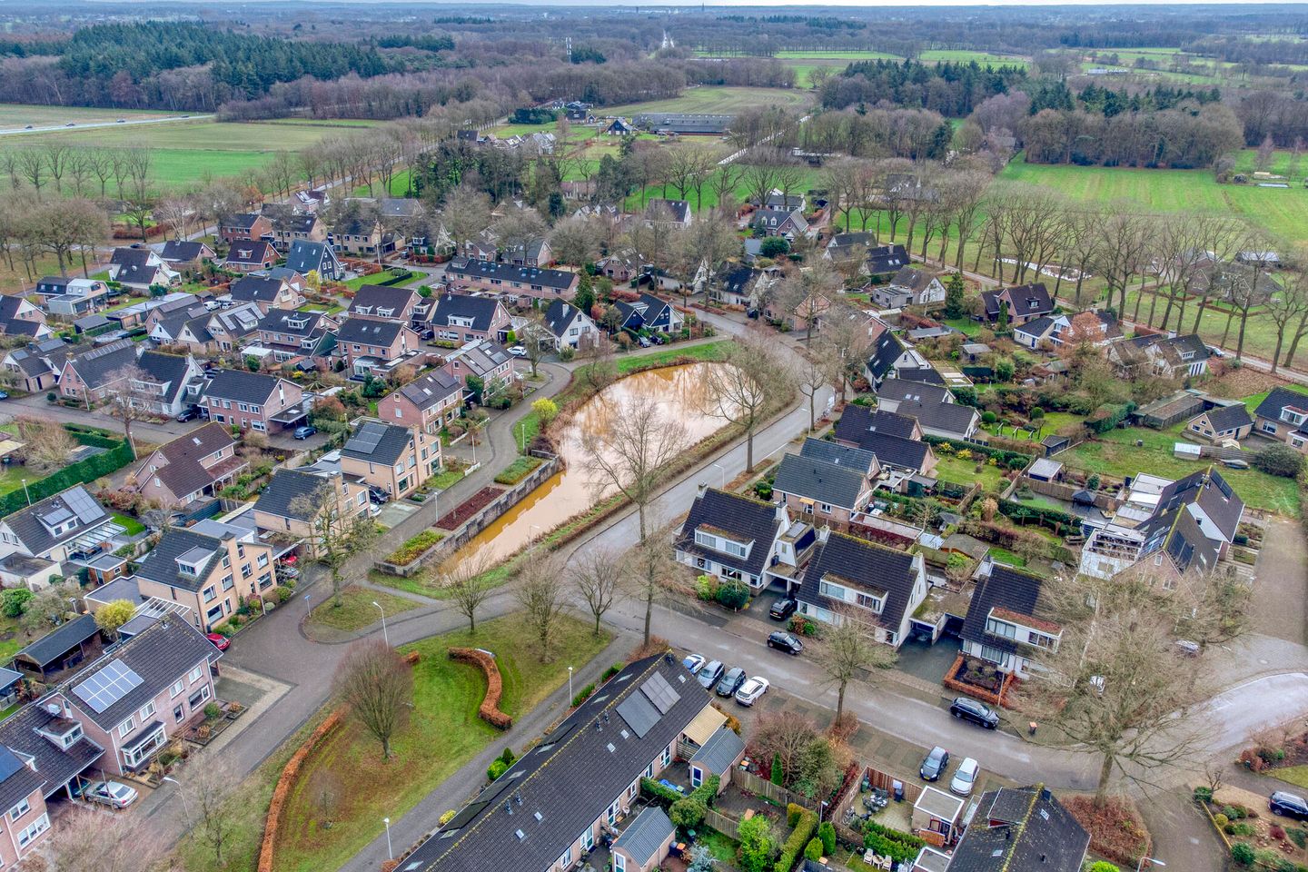 Photo 25 of Korenbloem 26